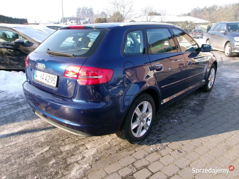 AUDI A3 Sprowadzony lakier metallic kujawsko-pomorskie Dolna Grupa