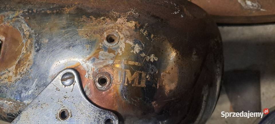 Triumph Standard