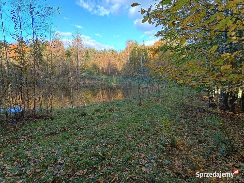 sprzedaży działki Gromadzin 3253 metry sprzedam