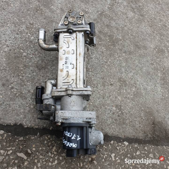 KIA CARENS IV ZAWOR EGR CHLODNICA 284162A850 Łochowice
