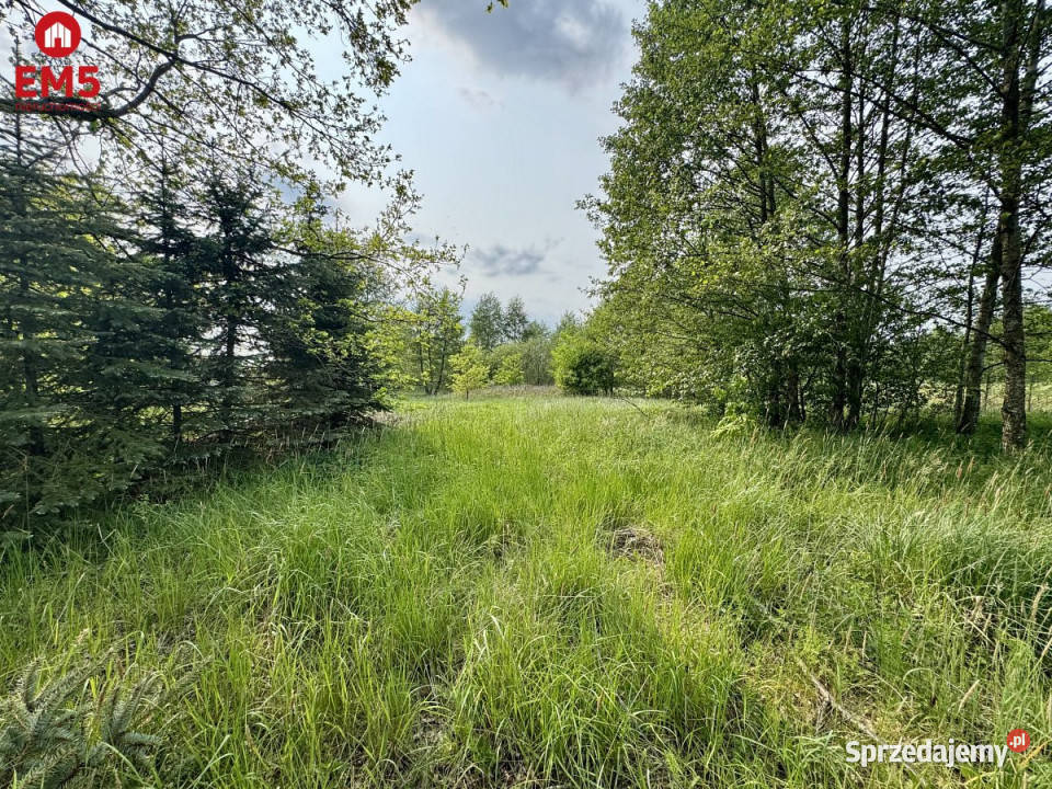 Grunt 2900m2 Kosmaty Borek budowlana