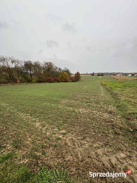 Działka 35 arów Krasieniec Stary prąd i woda