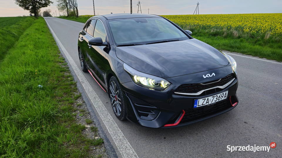 Kia PRoceed GT 16 204 konie Zawada