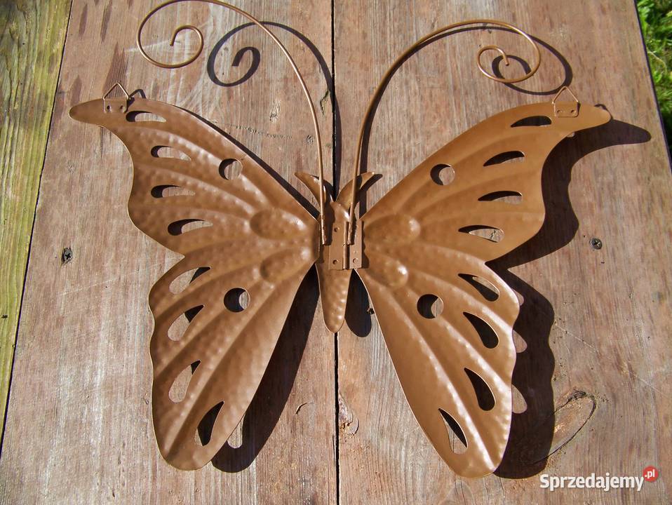 motyl metaloplastyka 40