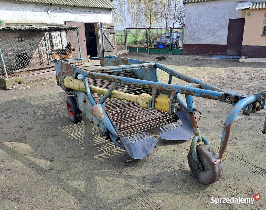 Kopaczka Elewatorowa Do Ziemniaków Cebuli nieuszkodzony Lubraniec
