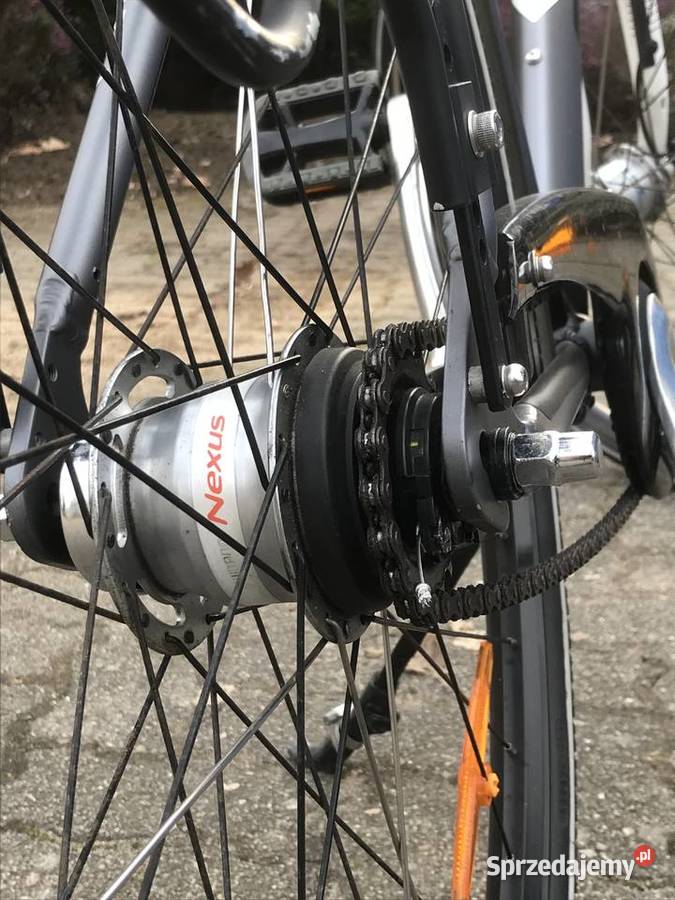 Rower Trekkingowy Pegasus Piazza Kranów sprzedam