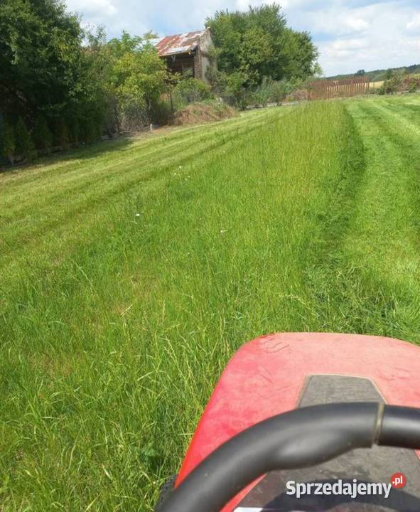 USŁUGI OGRODNICZE MACIEJOWICE garwolińskie