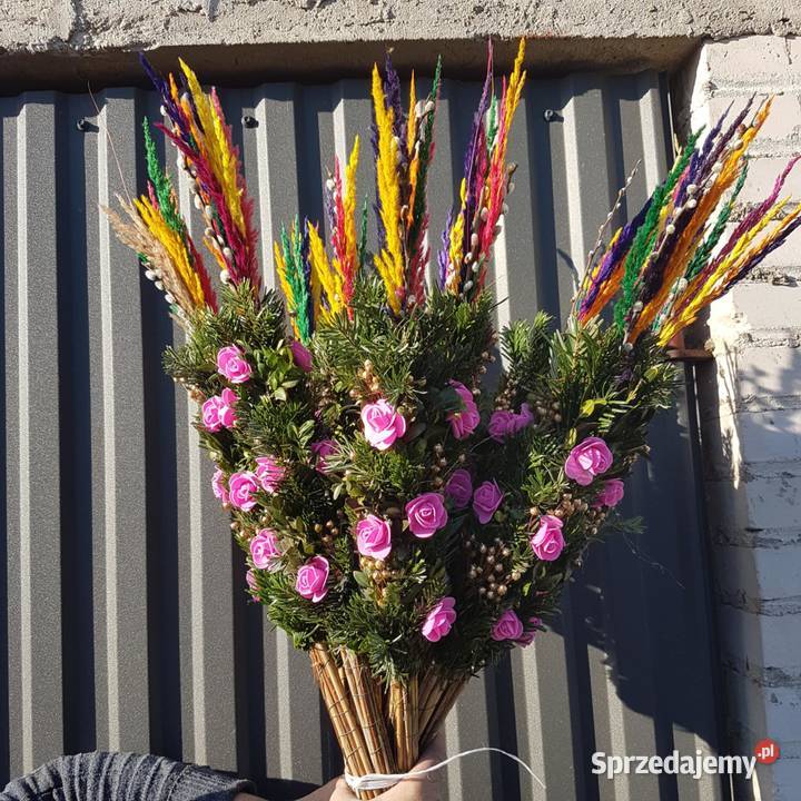 palmy żywe palmy Wielkanocne HURT min 20 Mrozy