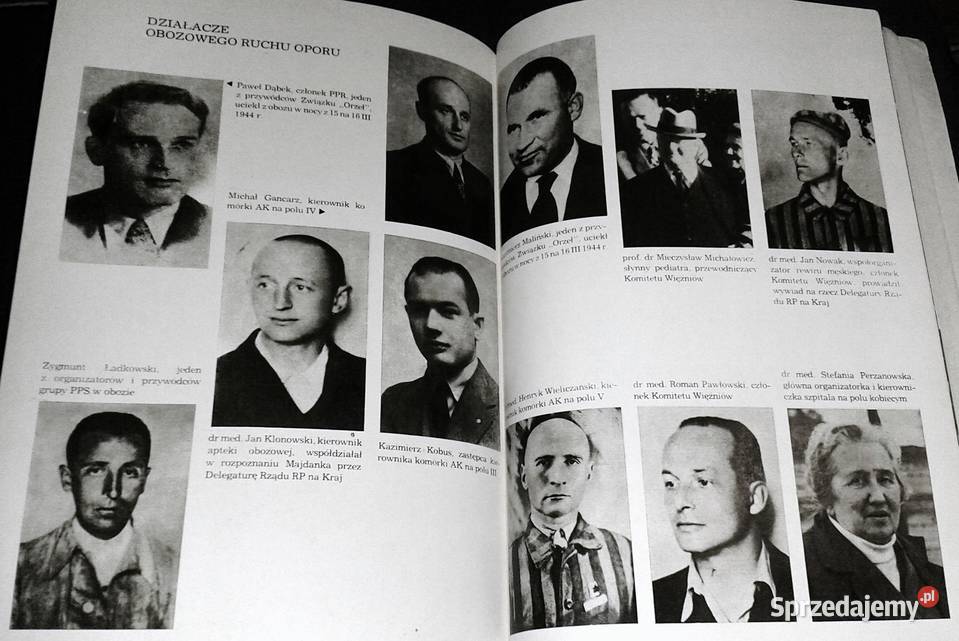 Majdanek Józef Marszałek Chełm