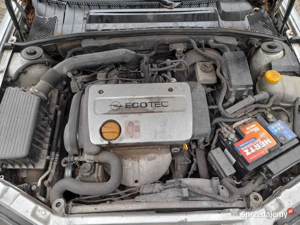 Fajna Vectra B1998 r16 BenzWaż OpłMożZamiany Samochody osobowe