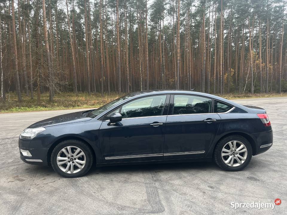 Citroen C5 nieuszkodzony C5 Jeżowe
