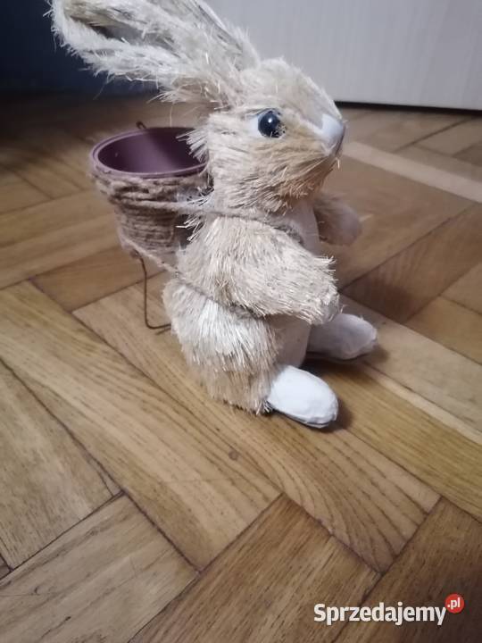 Zając z trawy z małą doniczką pomorskie Gdańsk sprzedam