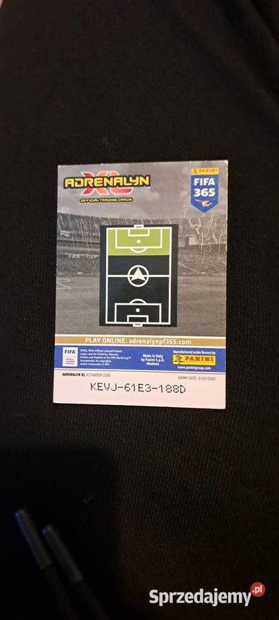 Karta panini edycja limitowana Romelu Lukaku podkarpackie Rzeszów
