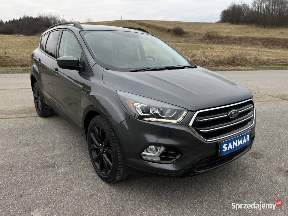 15 ECoBoost 180 Gwarancja Automat Navi Kamera Rok produkcji 2019 podkarpackie