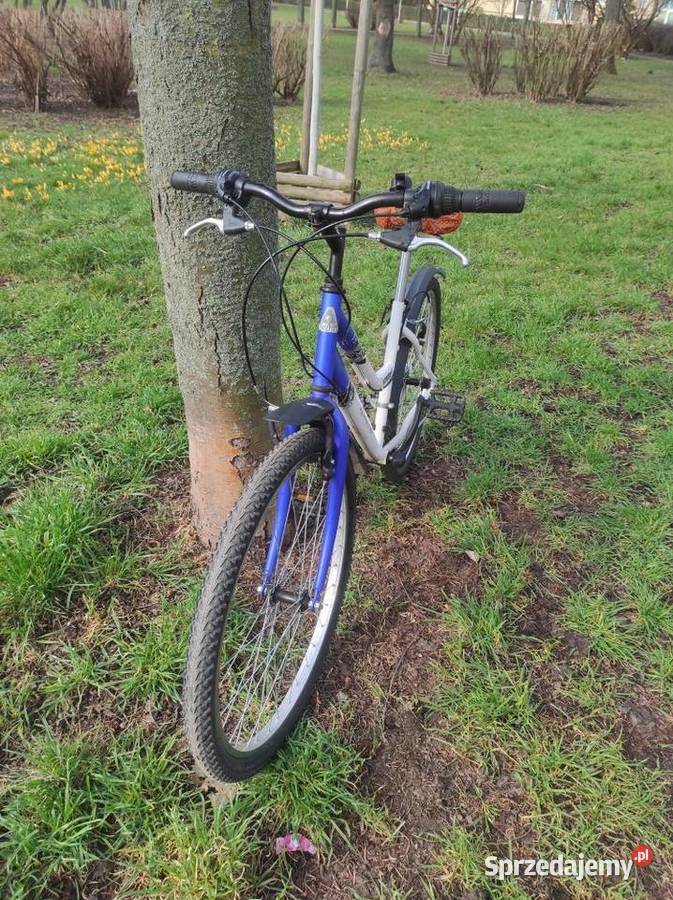 Rower miejski damka Active Leader koła 26 Rowery