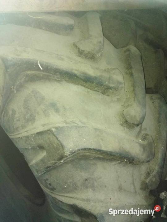 Pirelli 231 26 Dziwie