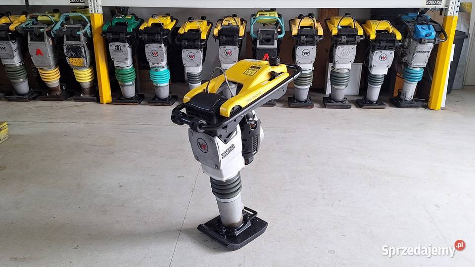 Skoczek Stopa WACKER NEUSON BS 502 11in 2023r Rok produkcji 2023 Trzebnica