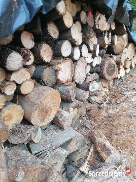 Drewno opalowe Kobiór