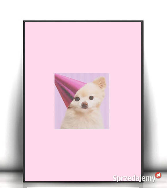 chihuahua obrazek A4 pastelowy plakat z psem Łódź