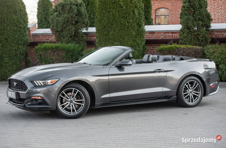 Ford Mustang Lift Cabrio 23i 317 Super Stan elektrochrom. lusterko wst. Zwoleń sprzedam