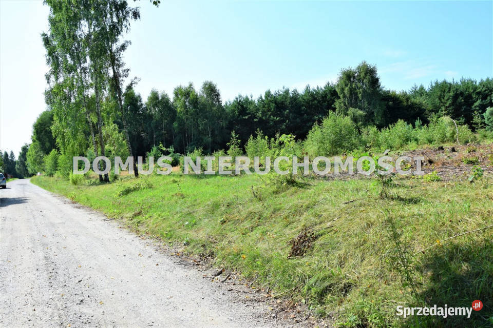 sprzedaży gruntu 29000m2 Taurów