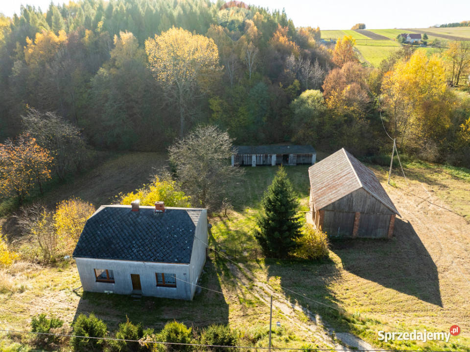 Dom z kawałkiem lasu i bijącym źródłem obok pustak Stoki