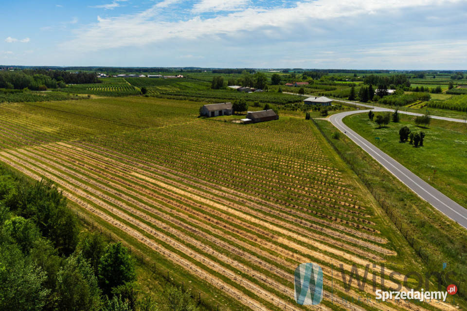 sprzedaży gruntu 56500m2 Józefów mazowieckie