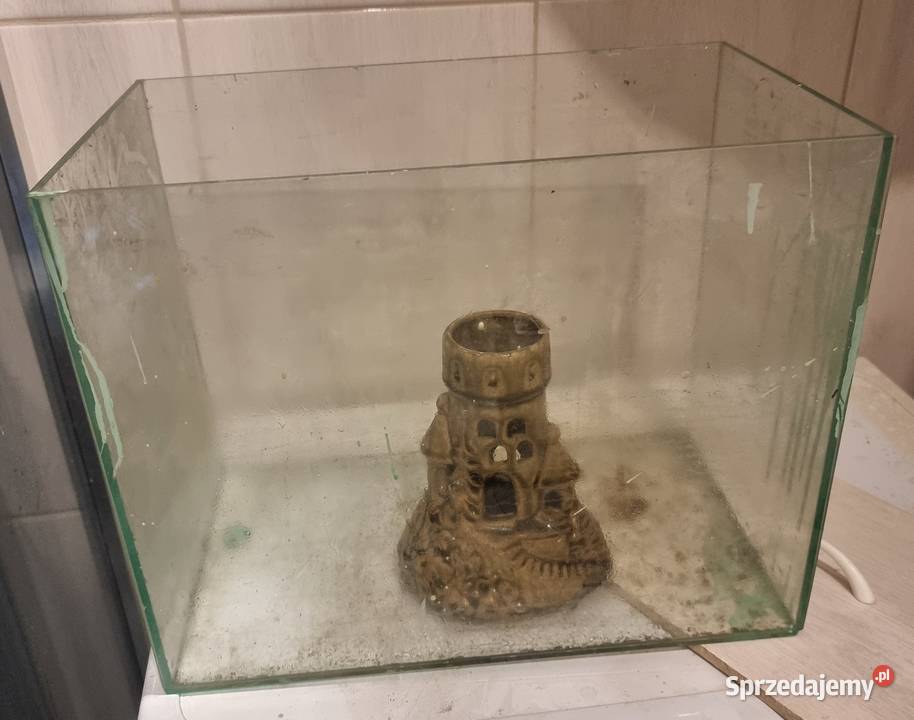 Akwarium Ryb Zamek śląskie Sosnowiec