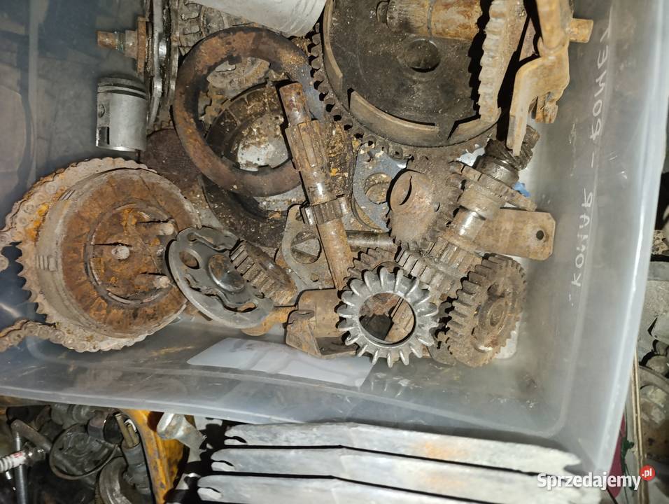 Kartery panonia Kartery świętokrzyskie Kielce