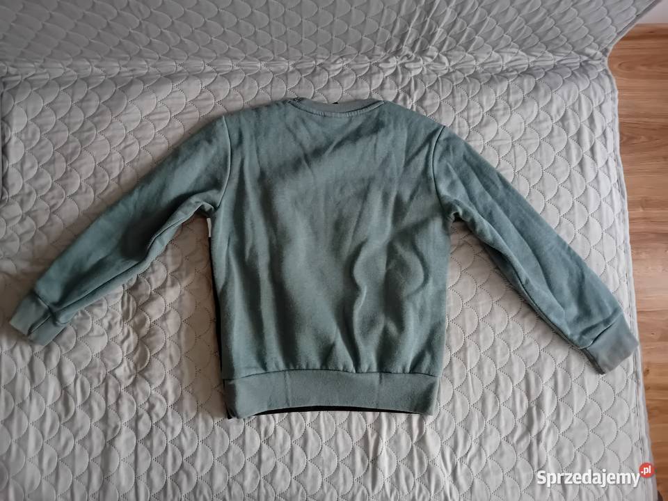 Dres Champion 126131 Dresy Kielce