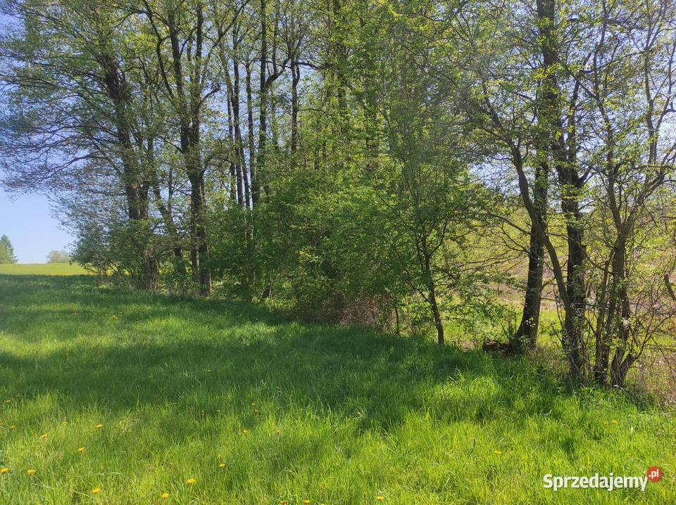 Mazury Działka rzeką Krutyń Ukta
