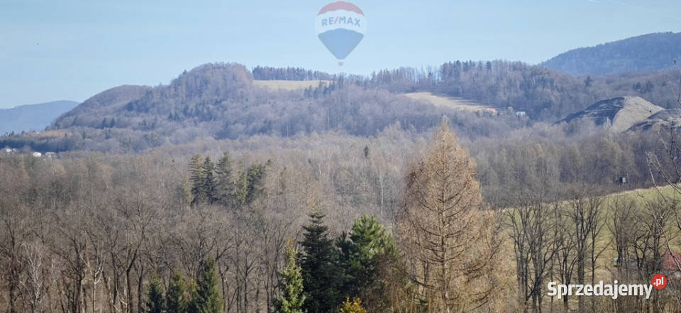 Działka budowlana pod lasem Dzięgielów
