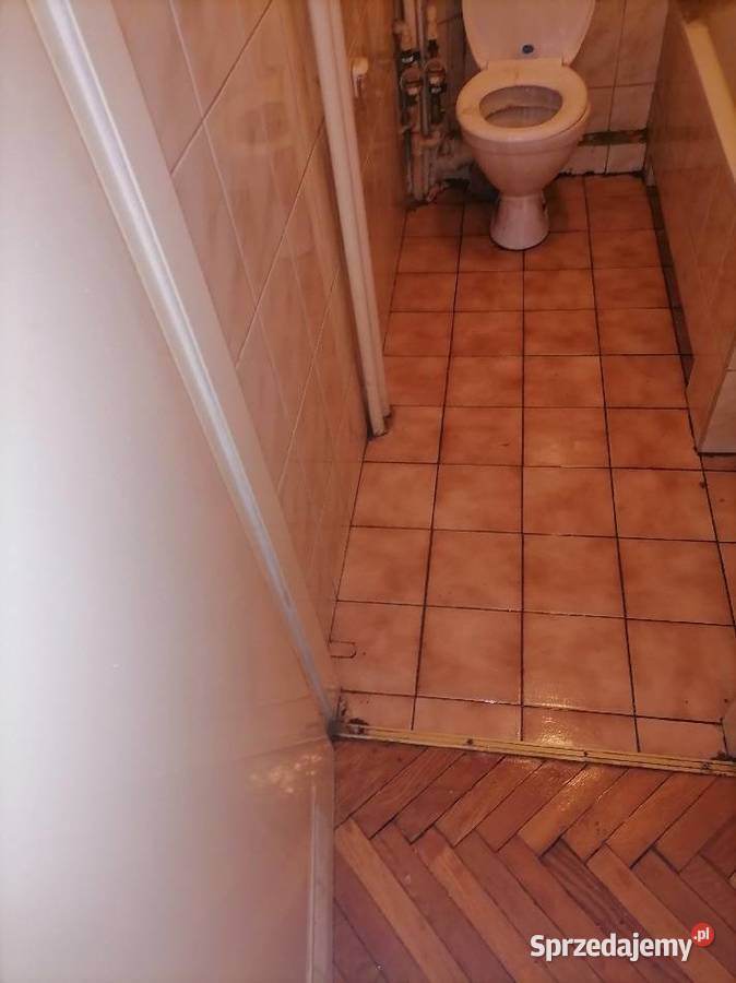 Dezynfekcja i sprzątanie zgonach w Miasteczko śląskie Miasteczko Śląskie