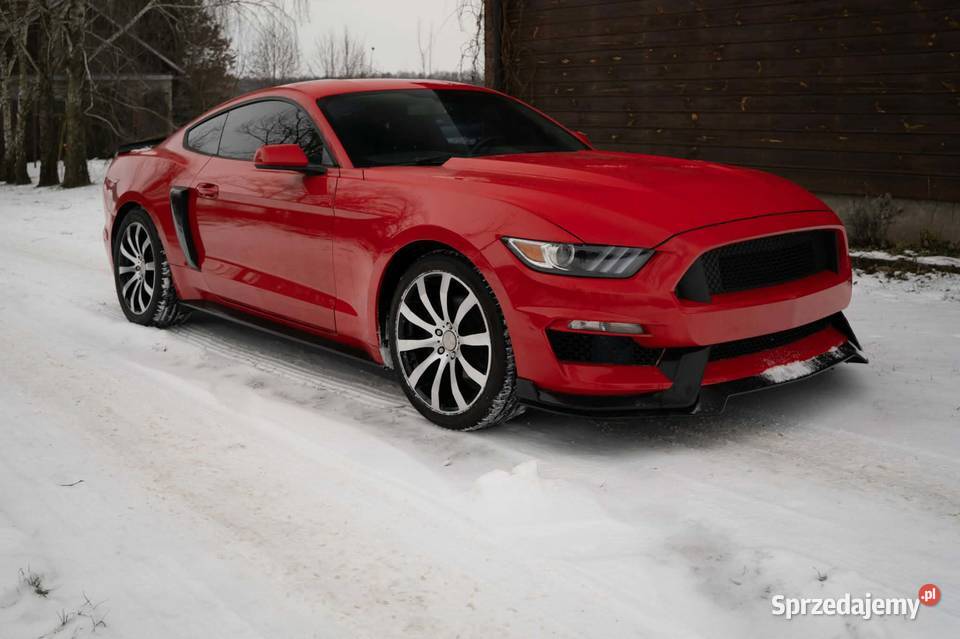 Mustang 37 306KM Siedlce