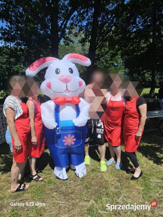 Biały miś i królik wielkopolskie