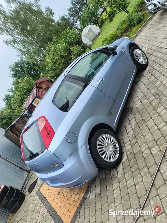 Fiat grande Punto Szczejkowice