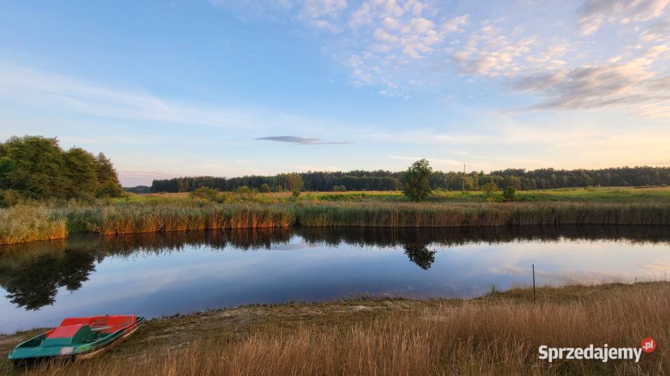 Domek wodą 4000m2 sprzedam