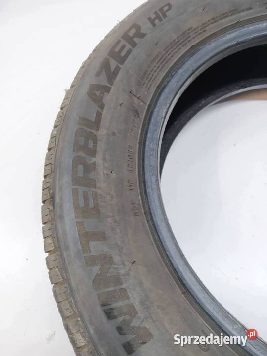 2x OPONA ZIMOWA COMPASAL WINTERBLAZER HP 195