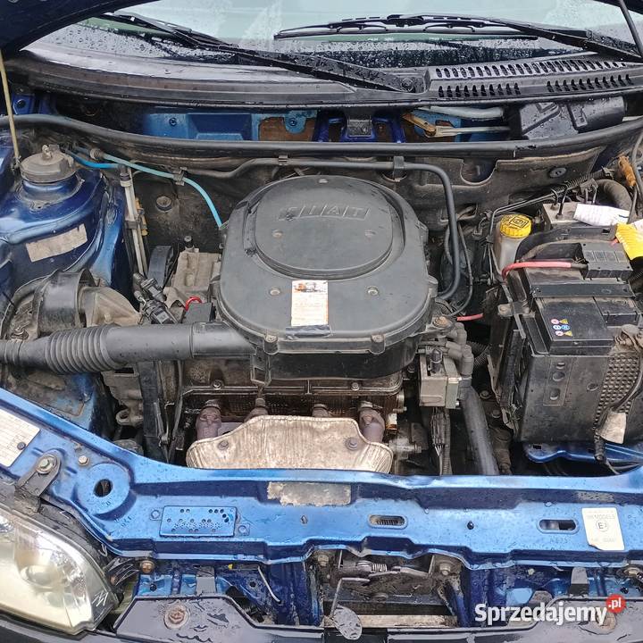 Fiat Punto 12 Benzyna Zamiana Bychawa
