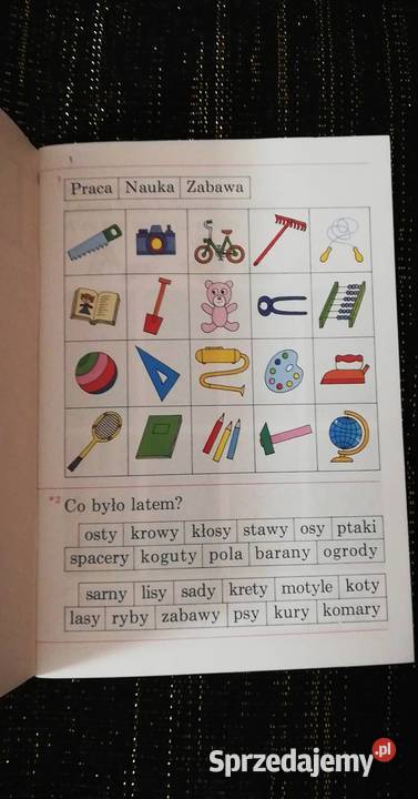 Litery Wycinanka Przyłubscy Poznań sprzedam