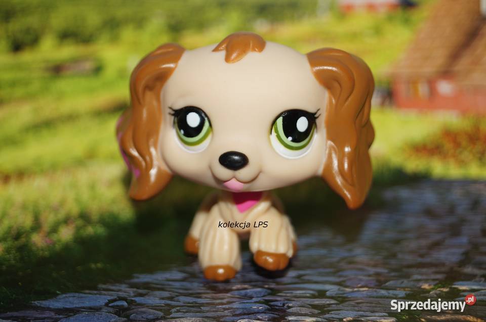 LPS Littlest Pet Shop spaniel 1963 oryginalny śląskie Rybnik