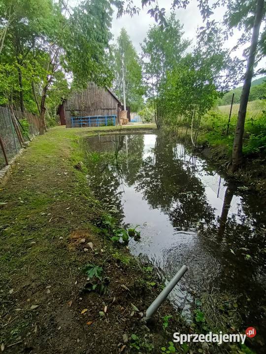 Dom do sprzedania w Miejscowości Kaczorów Dolny