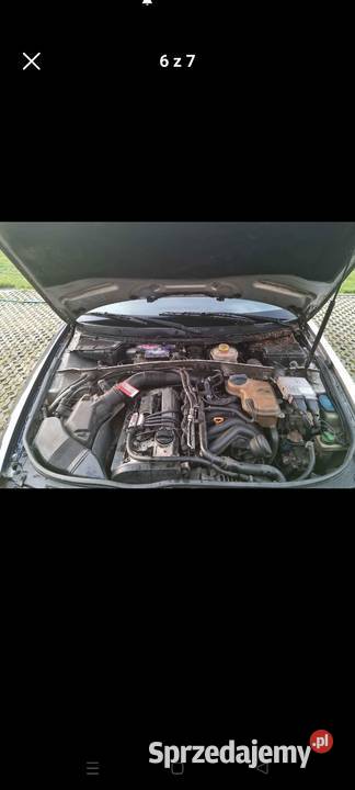 Audi a4 b5 polift 18 Korzenna