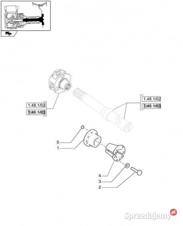 Holland T6010 T6070 Piasta 87688498 Jastrzębniki
