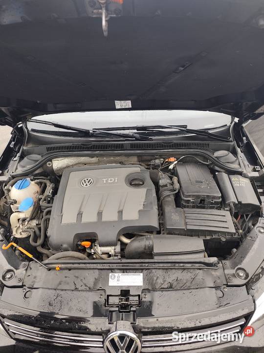 VW Jetta Bluemotion 16 TDI 1600cm3 Mielec