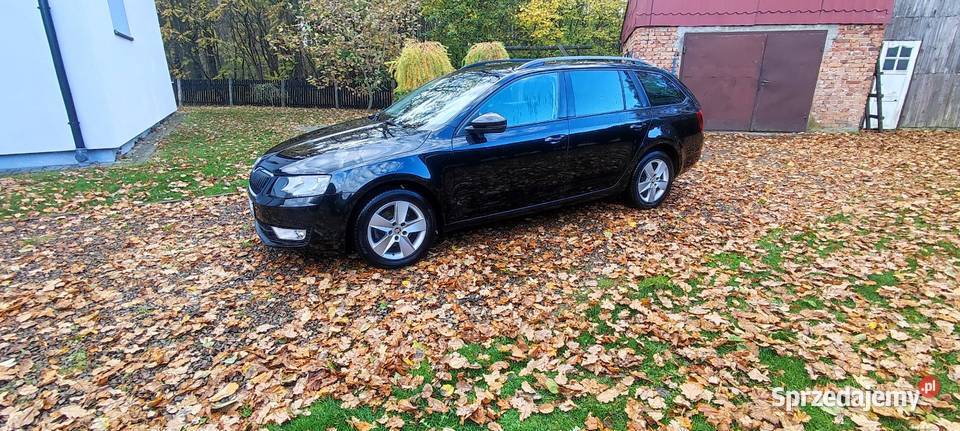 Skoda octavia Oświęcim