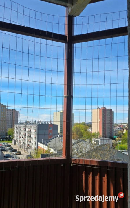 Mieszkanie do wynajęcia 643m2 2 pokoje miejsca