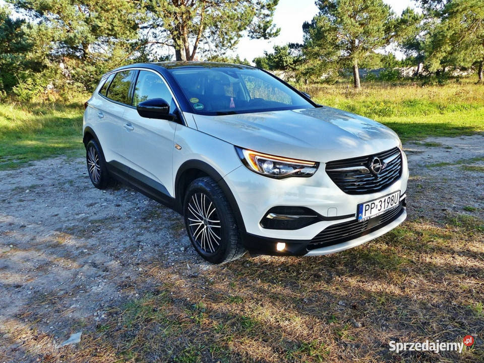 Opel Grandland X 15 Piła