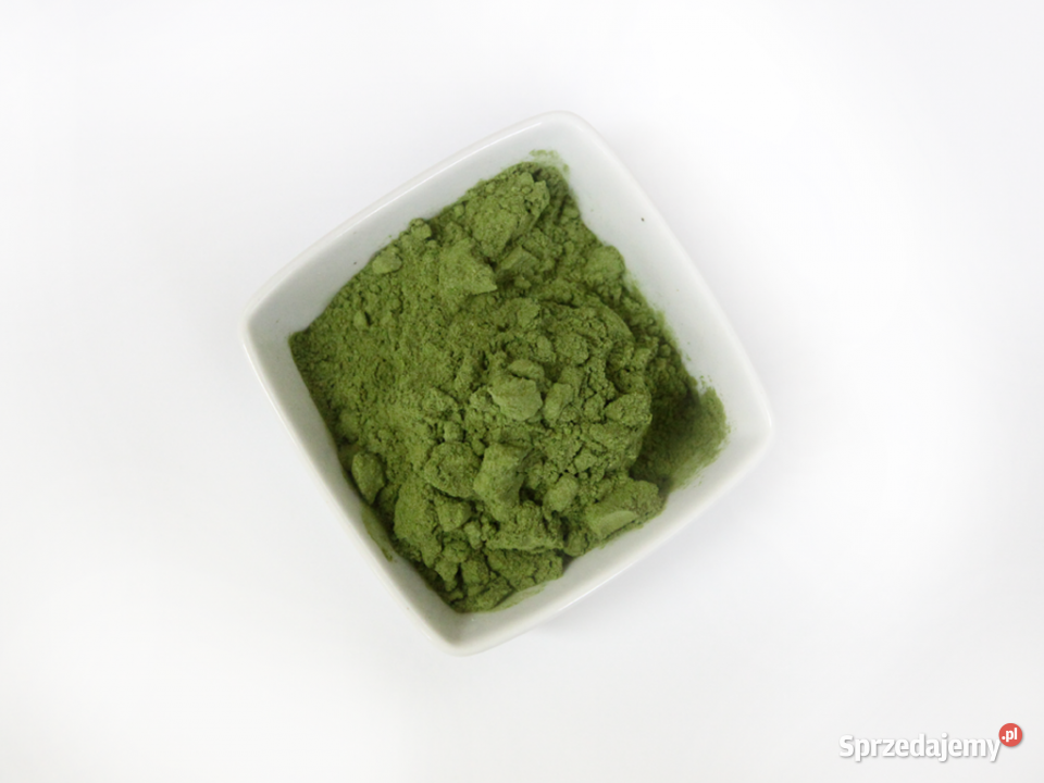 Młody jęczmień proszek 500 g Brzozów