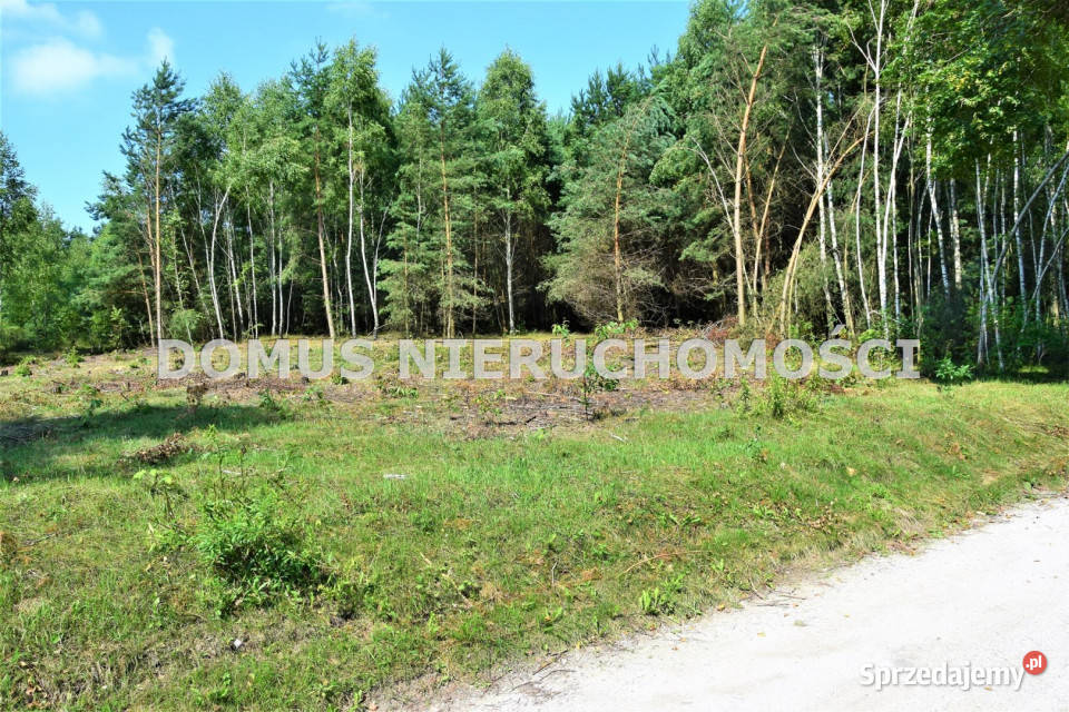 Grunt na sprzedaż Taurów 29000m2